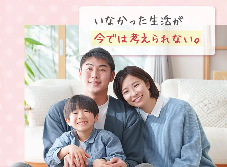 いなかった生活が今では考えられない。